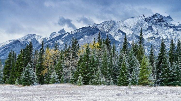 nature, Landscape, Mountain, Trees, Snow HD Wallpaper Desktop Background