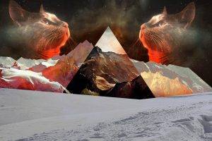 cat, Nature, Snow, Polyscape, Mountain, Triangle