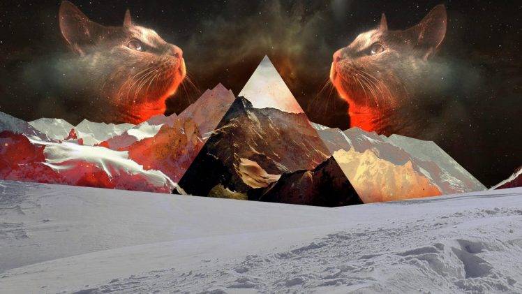 cat, Nature, Snow, Polyscape, Mountain, Triangle HD Wallpaper Desktop Background