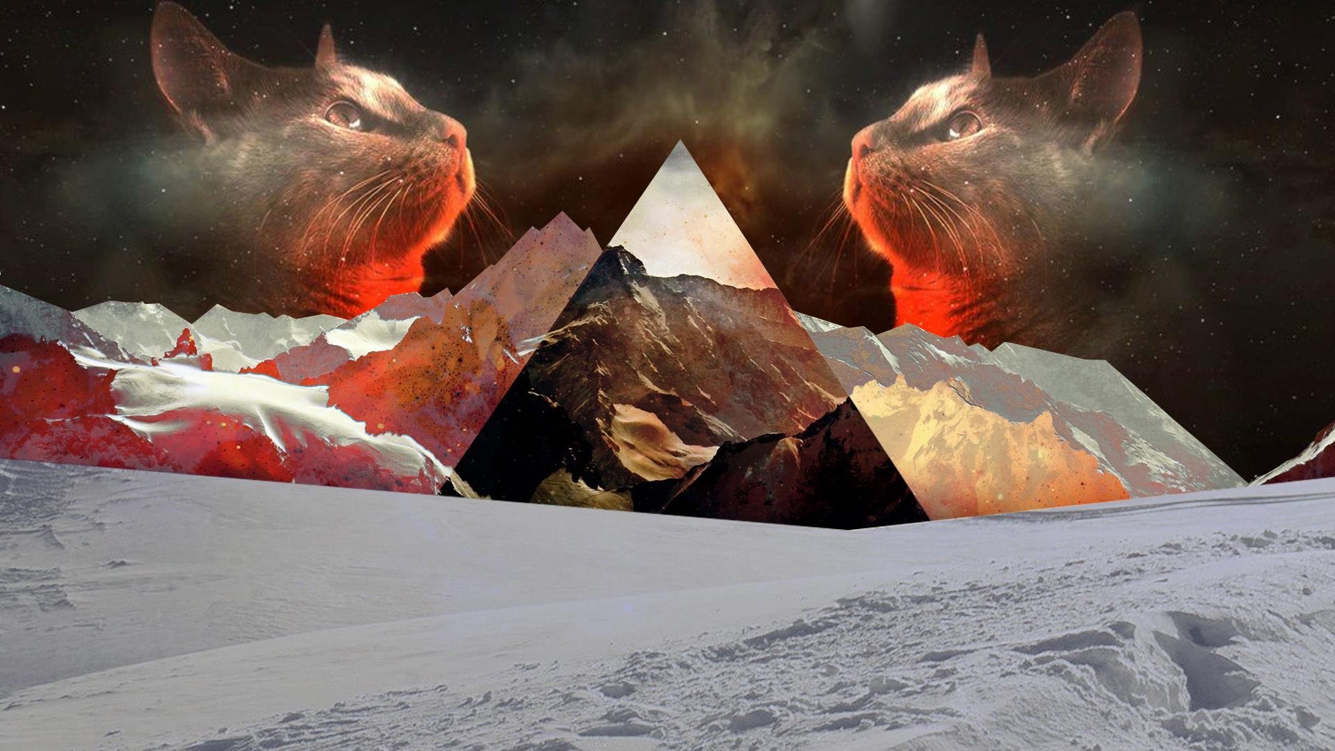 cat, Nature, Snow, Polyscape, Mountain, Triangle Wallpaper
