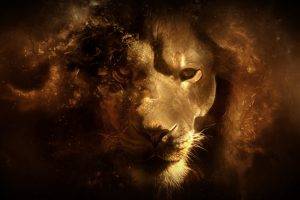 lion, Animals, Digital Art