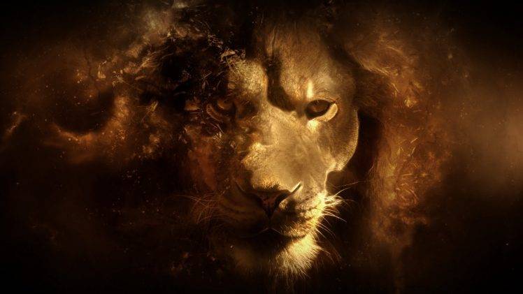 lion, Animals, Digital Art HD Wallpaper Desktop Background