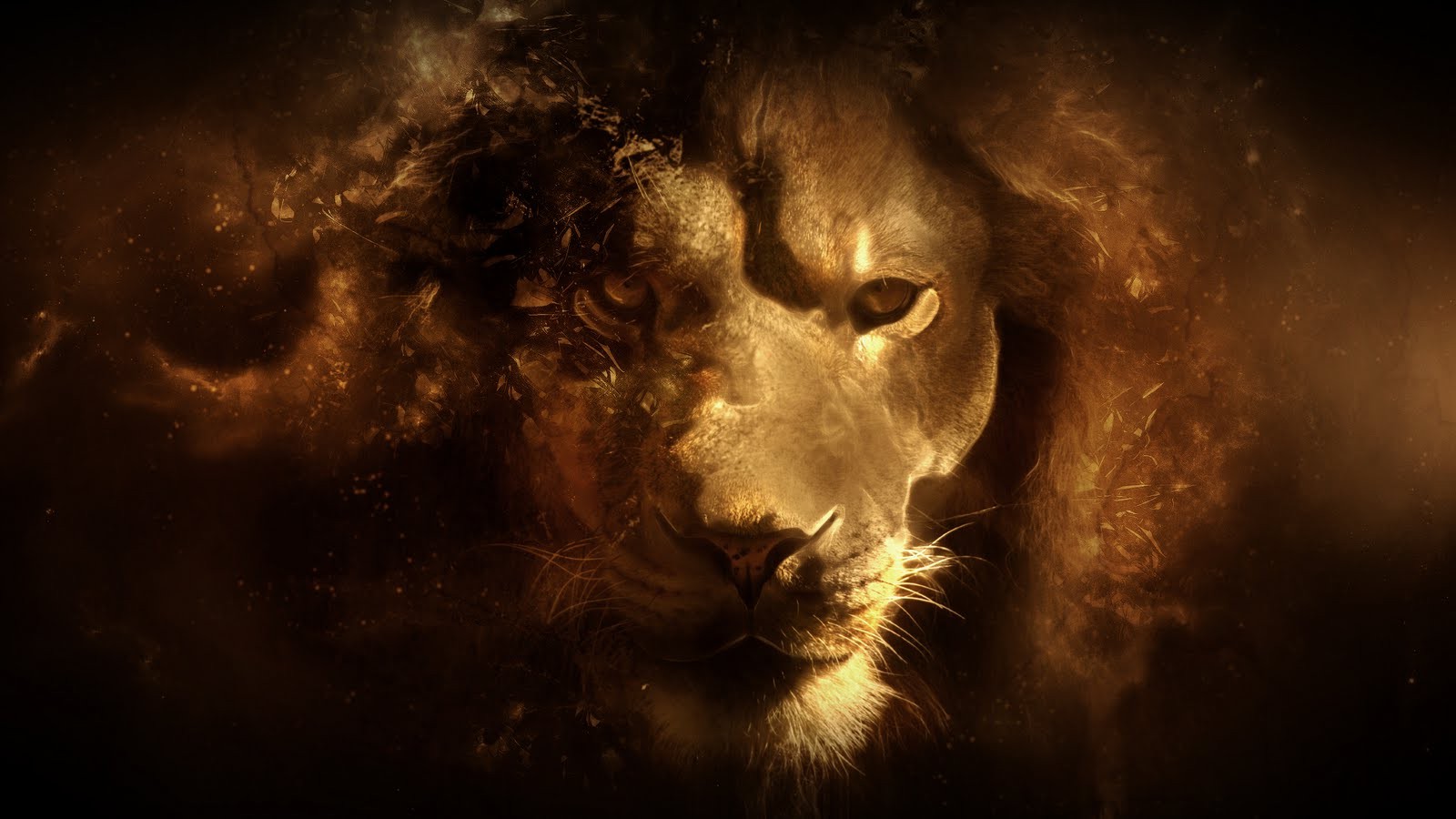 lion, Animals, Digital Art Wallpaper