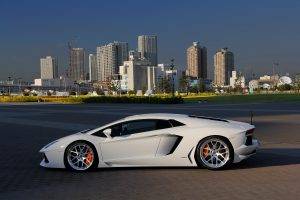car, Lamborghini, Lamborghini Aventador, White, White Cars