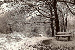 nature, Landscape, Snow, Winter, Bench
