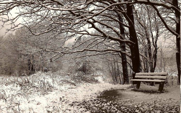 nature, Landscape, Snow, Winter, Bench HD Wallpaper Desktop Background