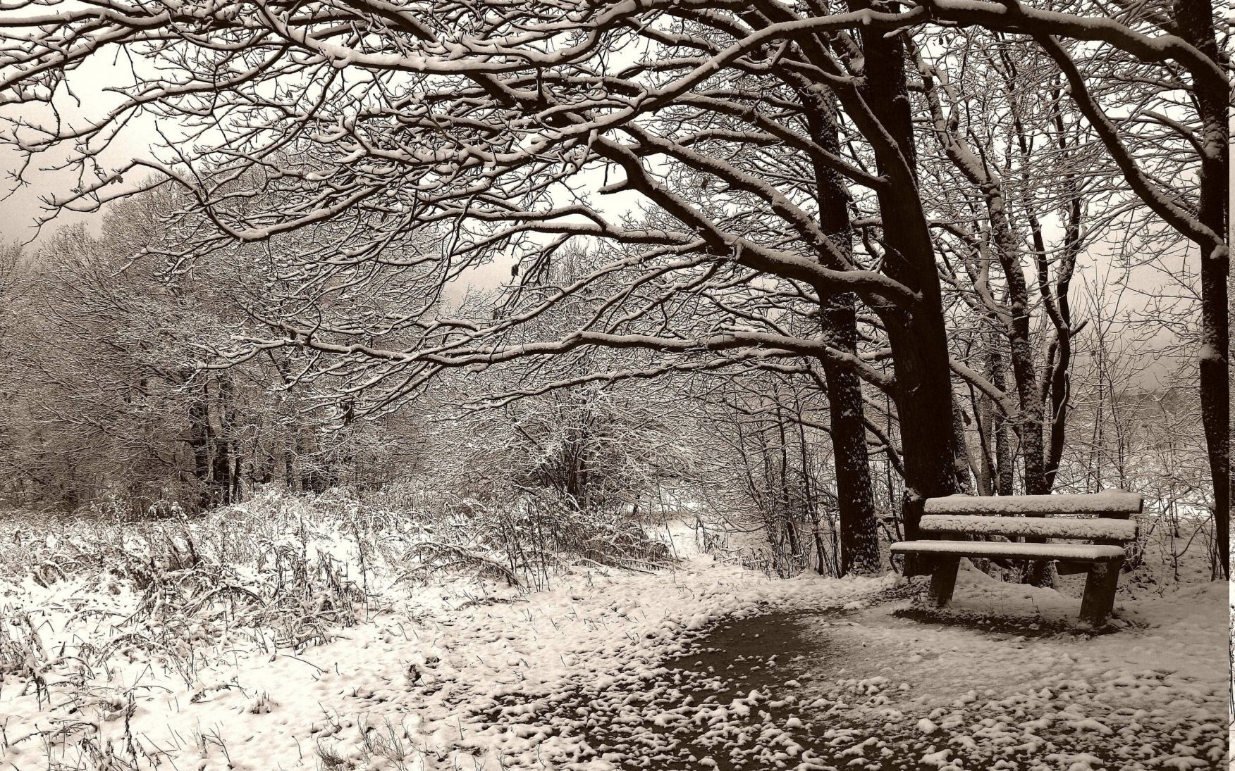 nature, Landscape, Snow, Winter, Bench Wallpaper