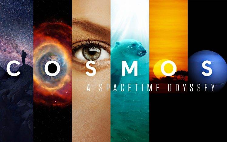 universe, Space, Neil DeGrasse Tyson, Carl Sagan, Cosmos: A Spacetime Odyssey HD Wallpaper Desktop Background