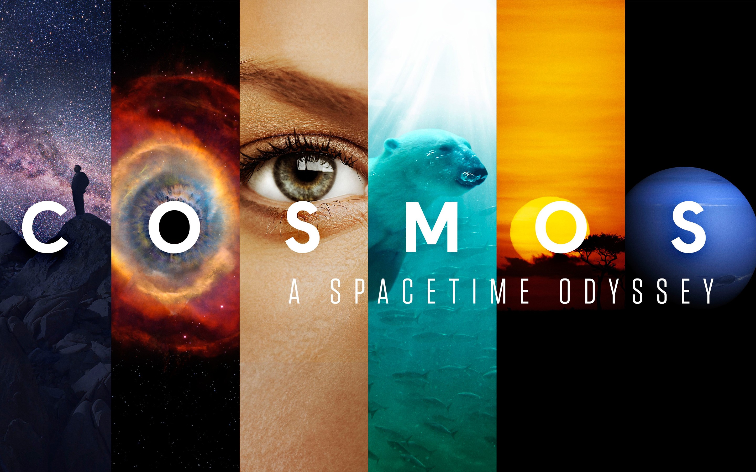 universe, Space, Neil DeGrasse Tyson, Carl Sagan, Cosmos: A Spacetime Odyssey Wallpaper