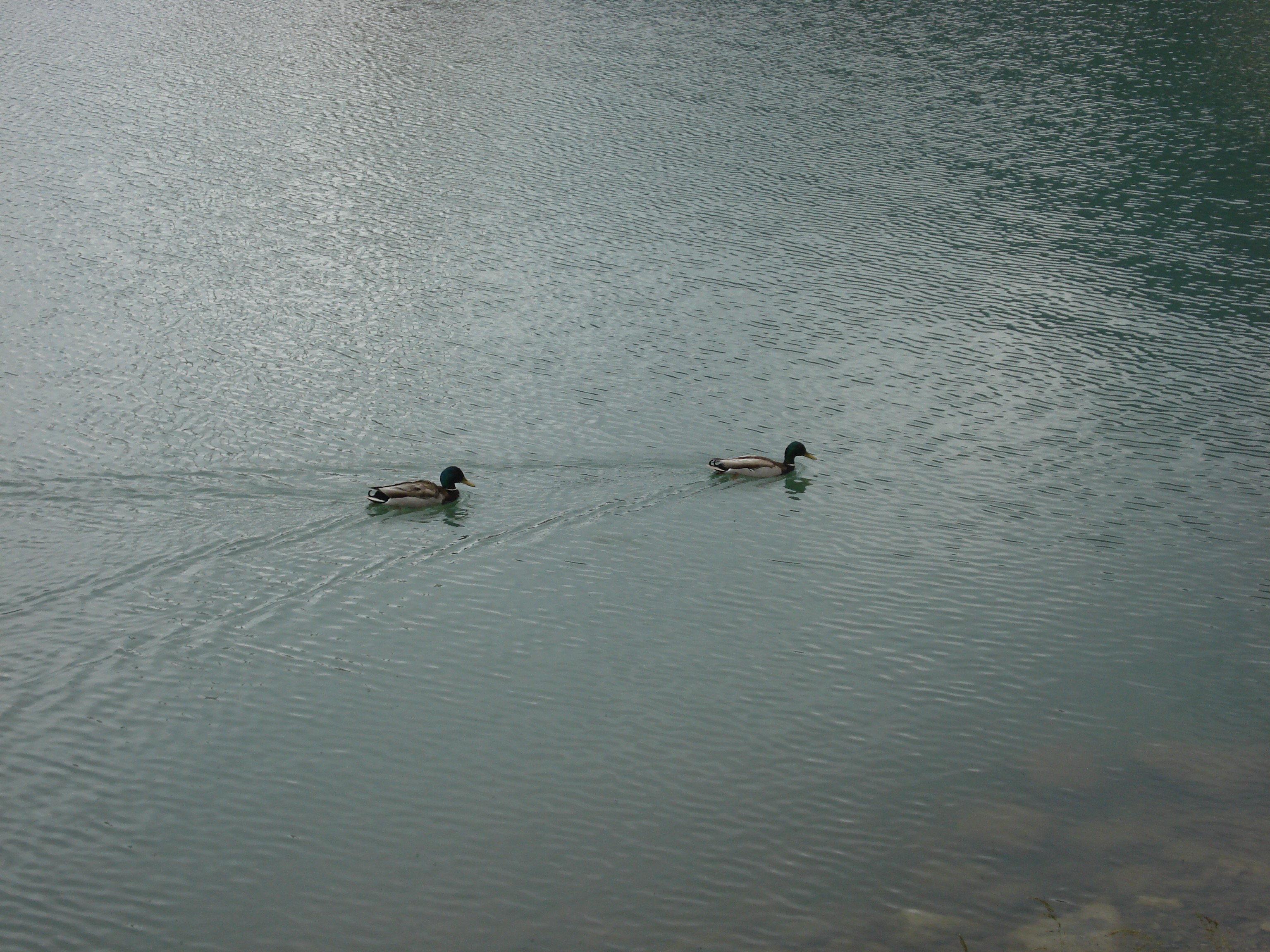 lake Wallpaper