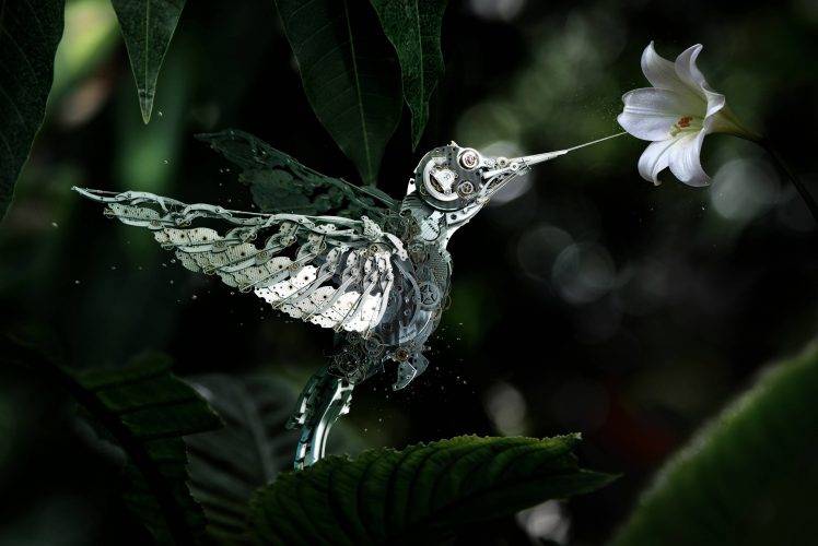 nature, Birds, Hummingbirds, Gears, White Flowers HD Wallpaper Desktop Background