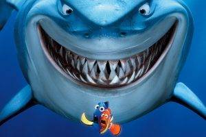 TV, Movies, Finding Nemo, Shark
