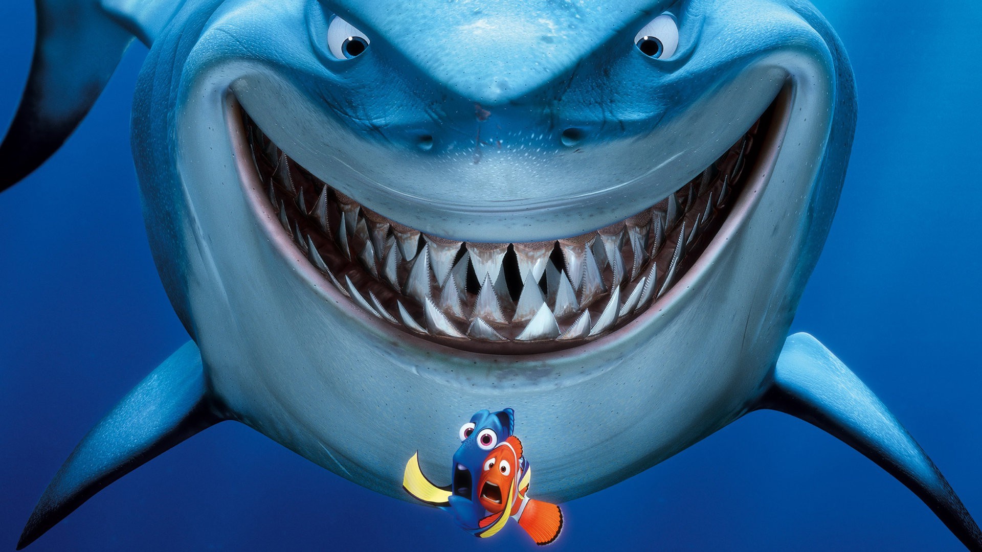 TV, Movies, Finding Nemo, Shark Wallpaper