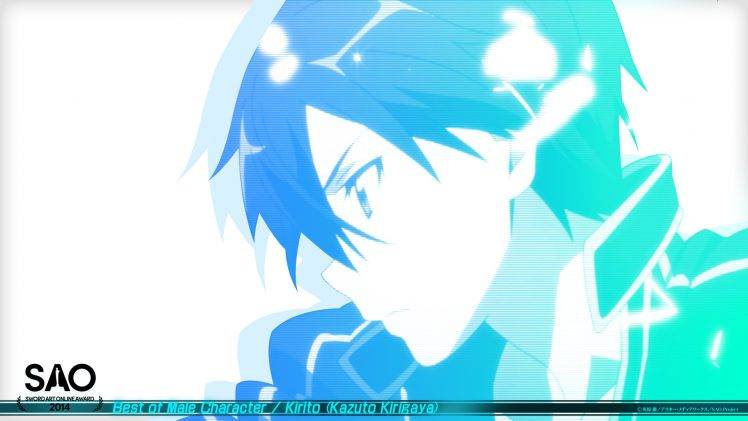 Sword Art Online, Anime HD Wallpaper Desktop Background
