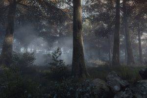 The Vanishing Of Ethan Carter, Video Games, Forest