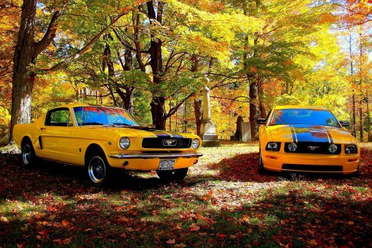 Shelby GT, Ford Mustang, Car HD Wallpaper Desktop Background