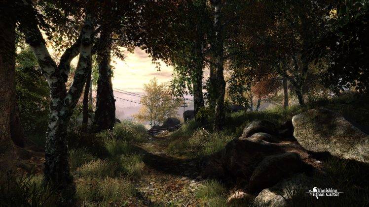 The Vanishing Of Ethan Carter, Video Games, Forest HD Wallpaper Desktop Background