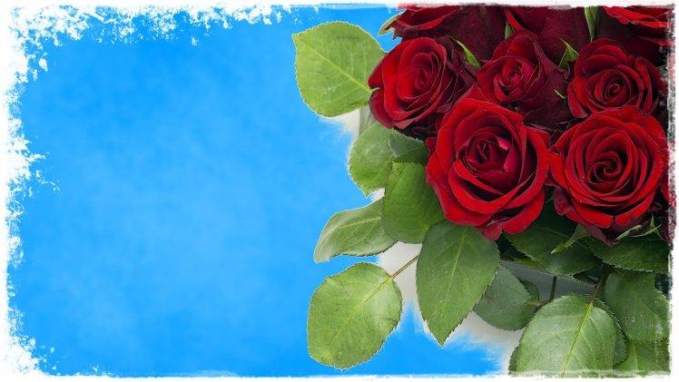 rose, Flowers, Red Flowers HD Wallpaper Desktop Background