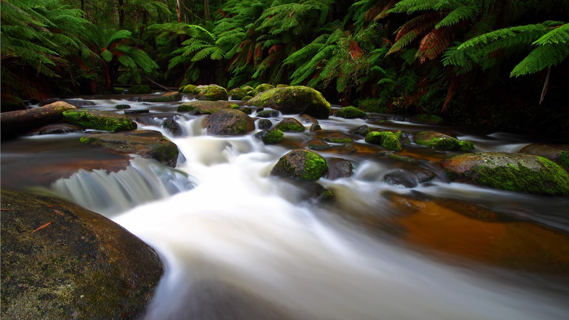 nature, River Wallpaper