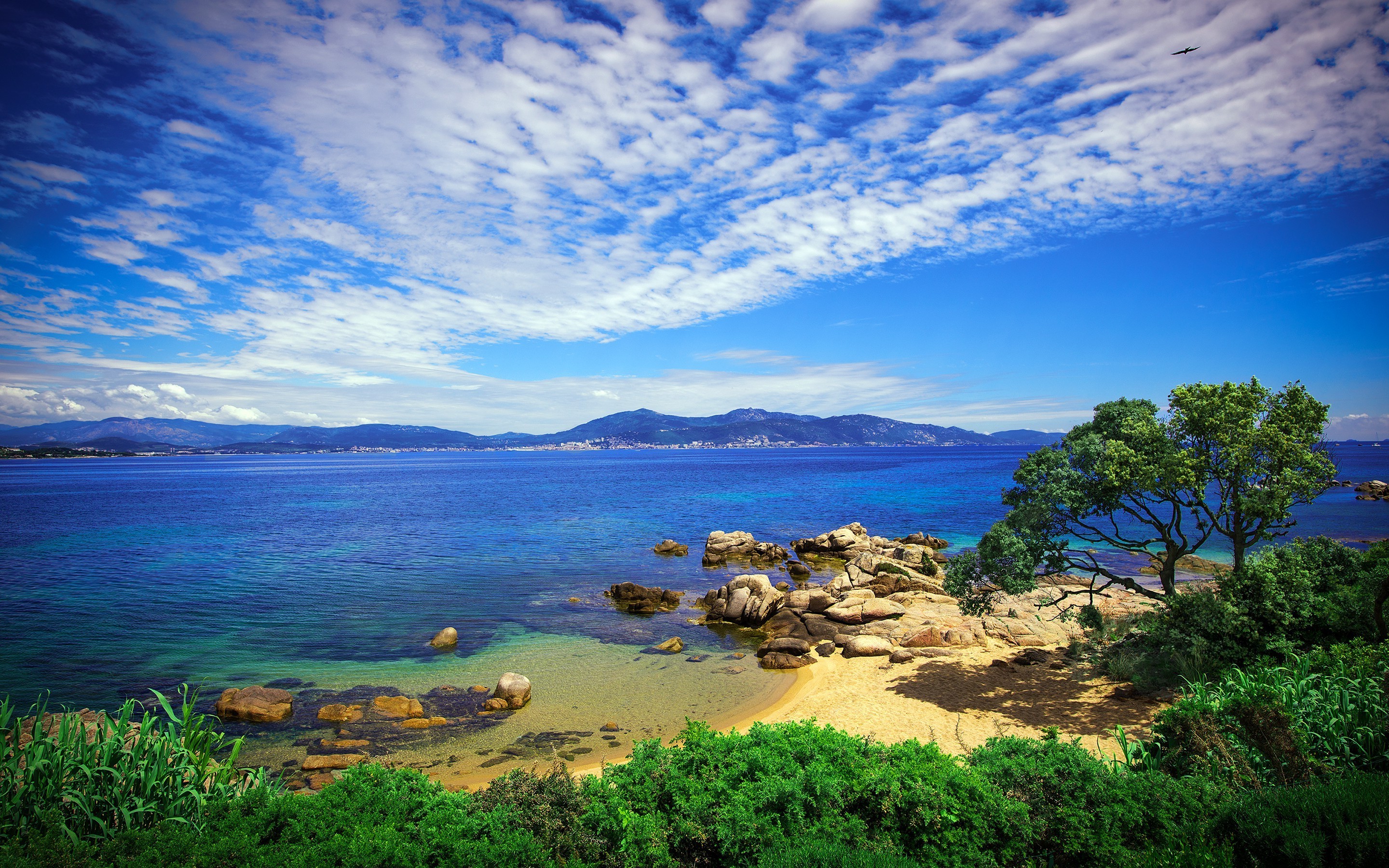 landscape Wallpaper