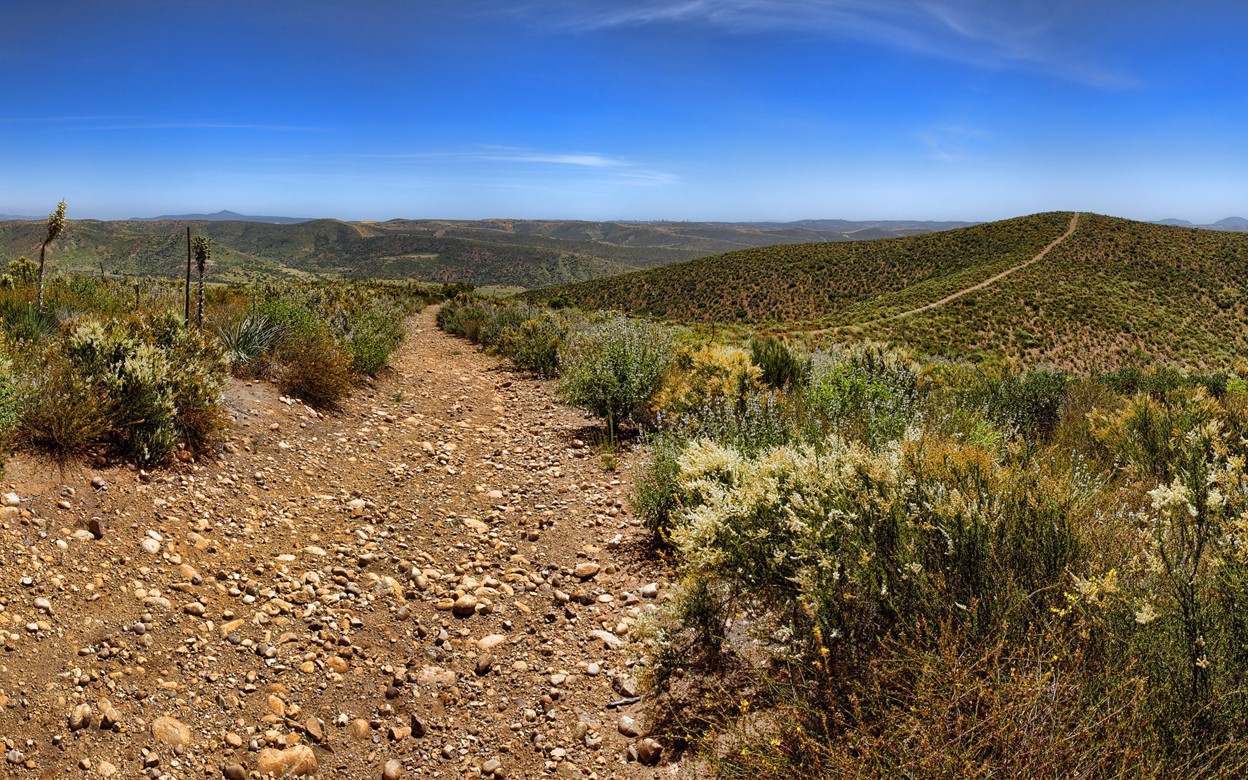 landscape, Desert, California, National Park, Shrubs, Dirt Road Wallpaper