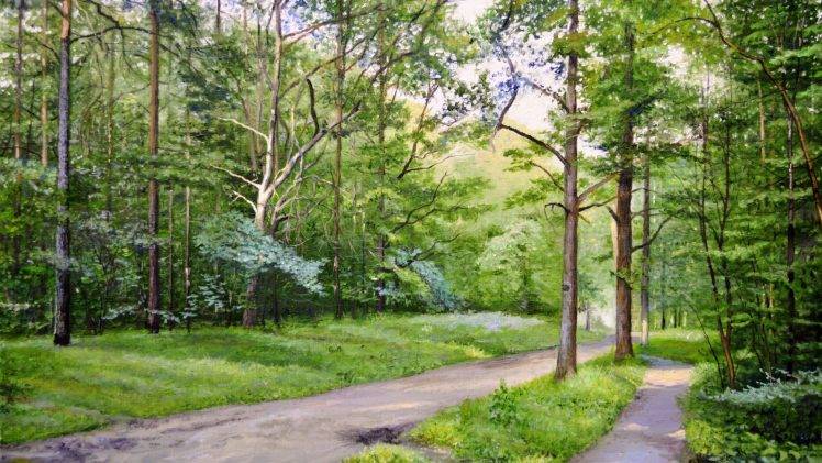 landscape, Forest, Trees, Path HD Wallpaper Desktop Background