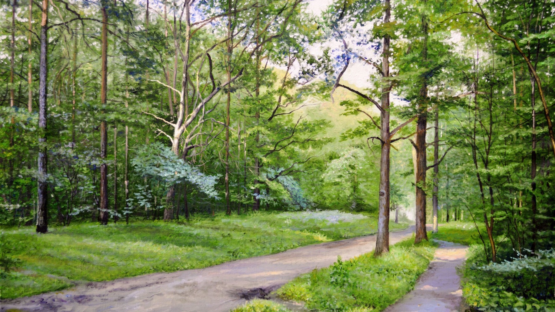 landscape, Forest, Trees, Path Wallpaper