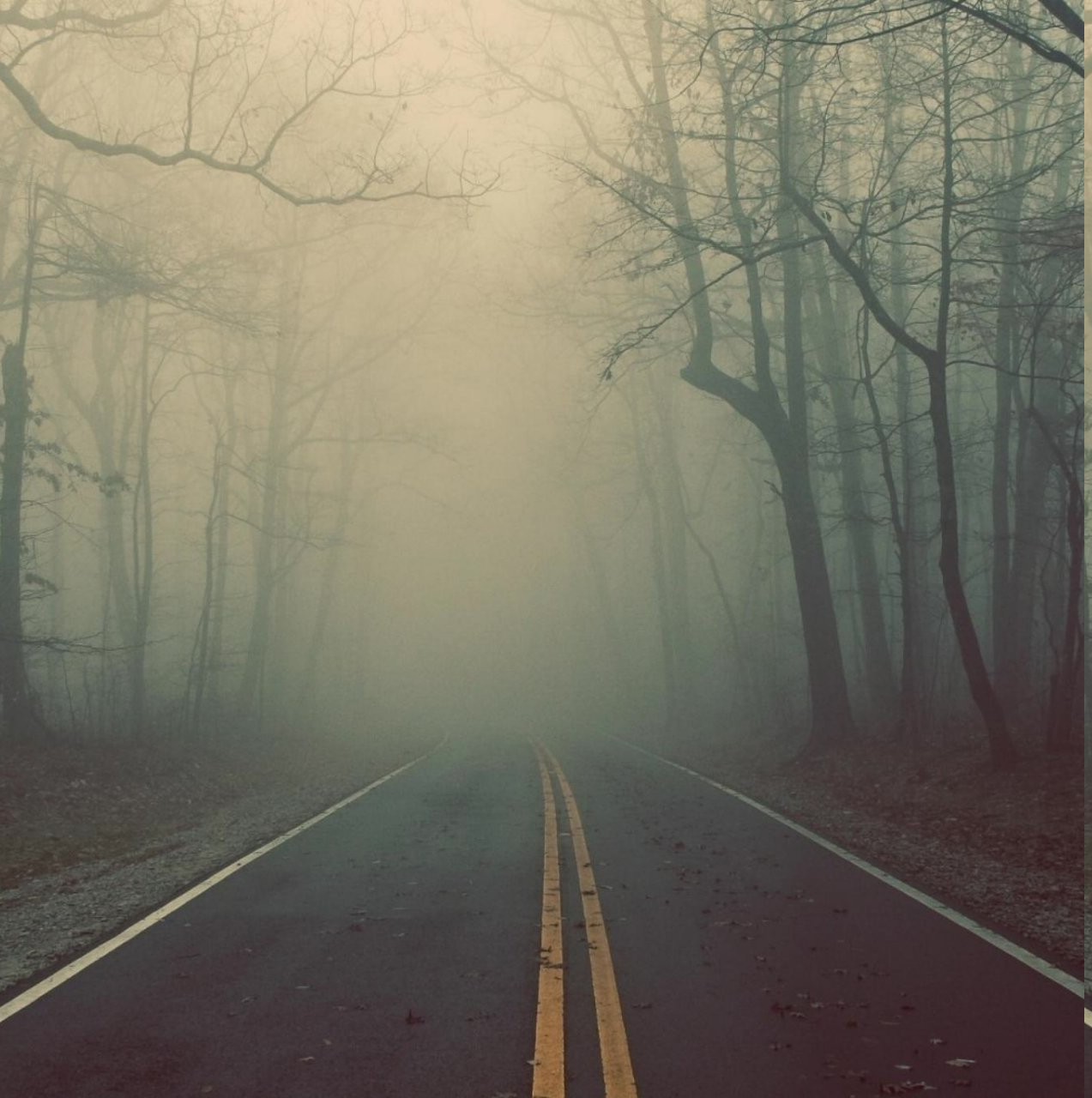 nature, Road Wallpaper