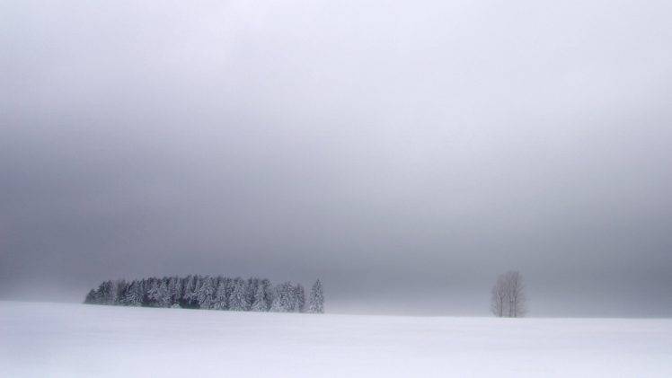 white, Winter, Nature, Blue, Sky HD Wallpaper Desktop Background