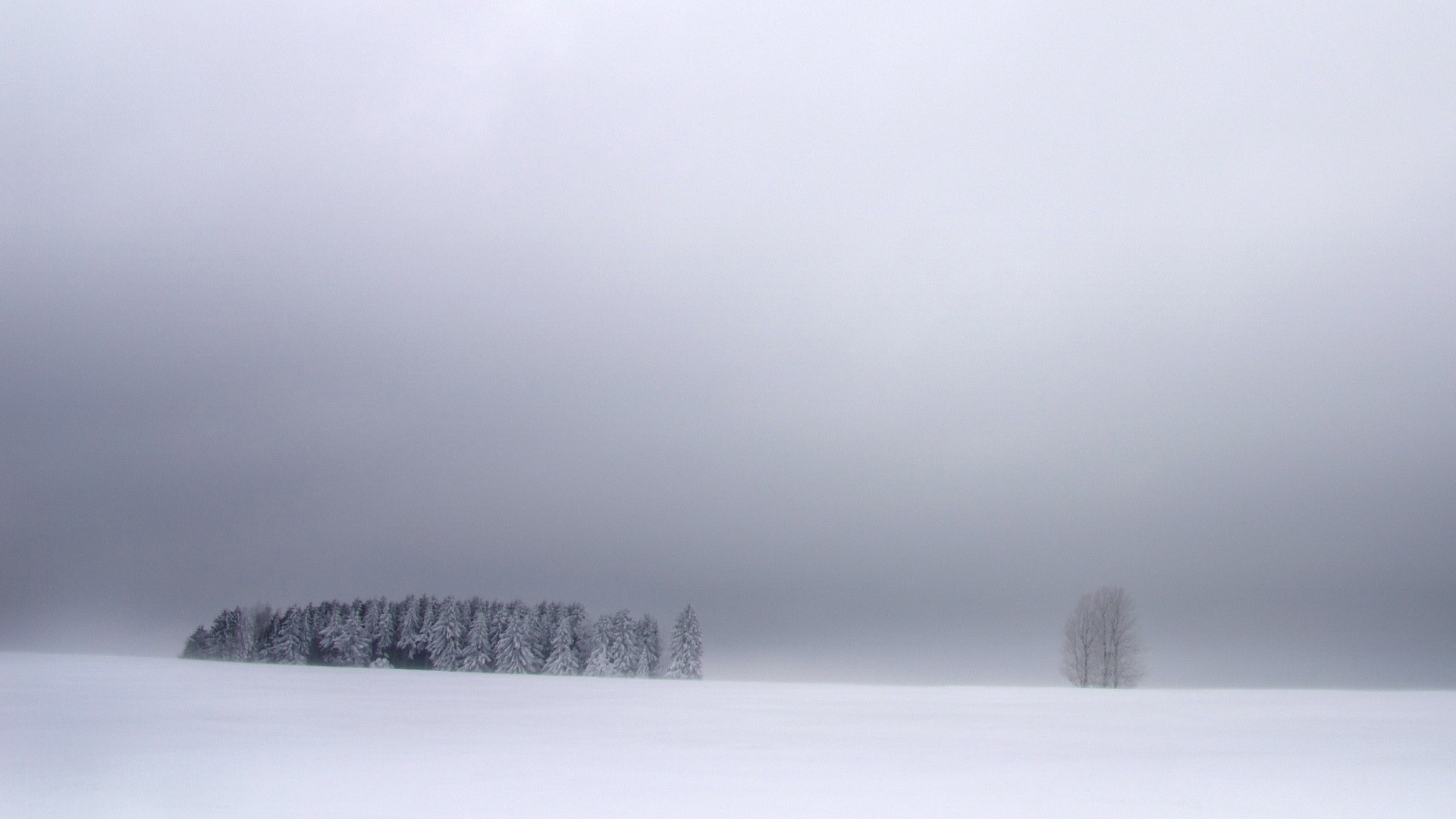 white, Winter, Nature, Blue, Sky Wallpaper