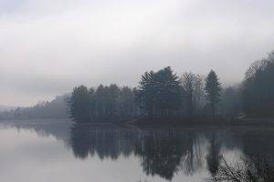 nature, Lake, Mist