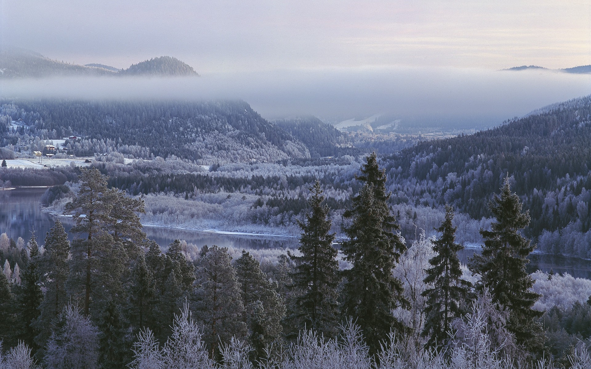 landscape, Forest, River, Villages, Nature Wallpaper