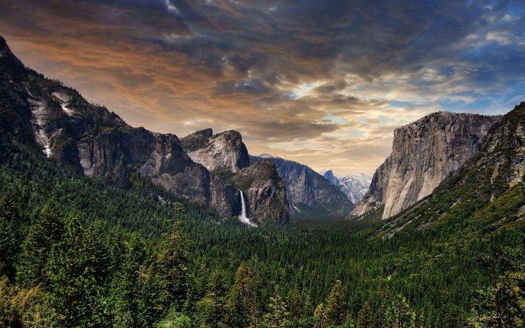 landscape, Forest, Mountain HD Wallpaper Desktop Background