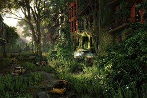 forest, Nature, Overgrown, Crysis 3