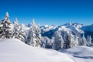landscape, Mountain, Snow, Forest