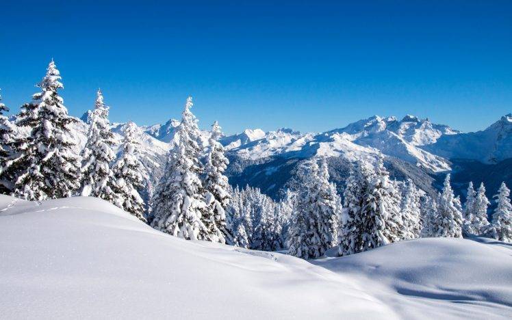 landscape, Mountain, Snow, Forest HD Wallpaper Desktop Background
