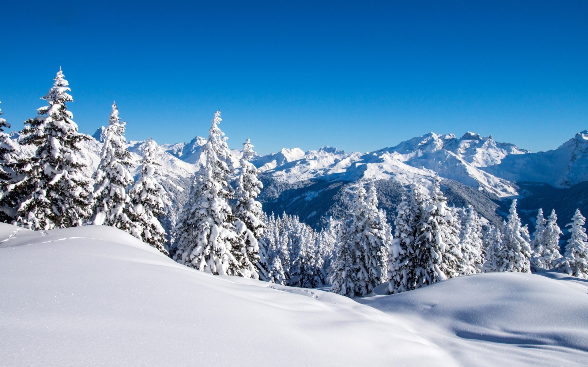 landscape, Mountain, Snow, Forest Wallpaper