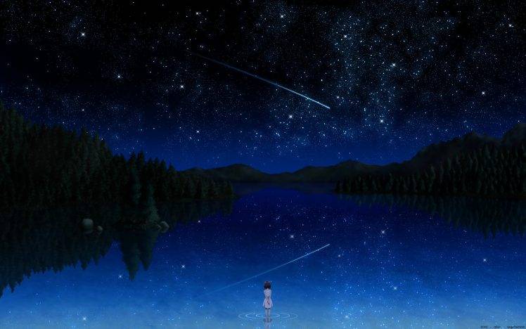 nature, Sky, Trees, Shooting Stars HD Wallpaper Desktop Background