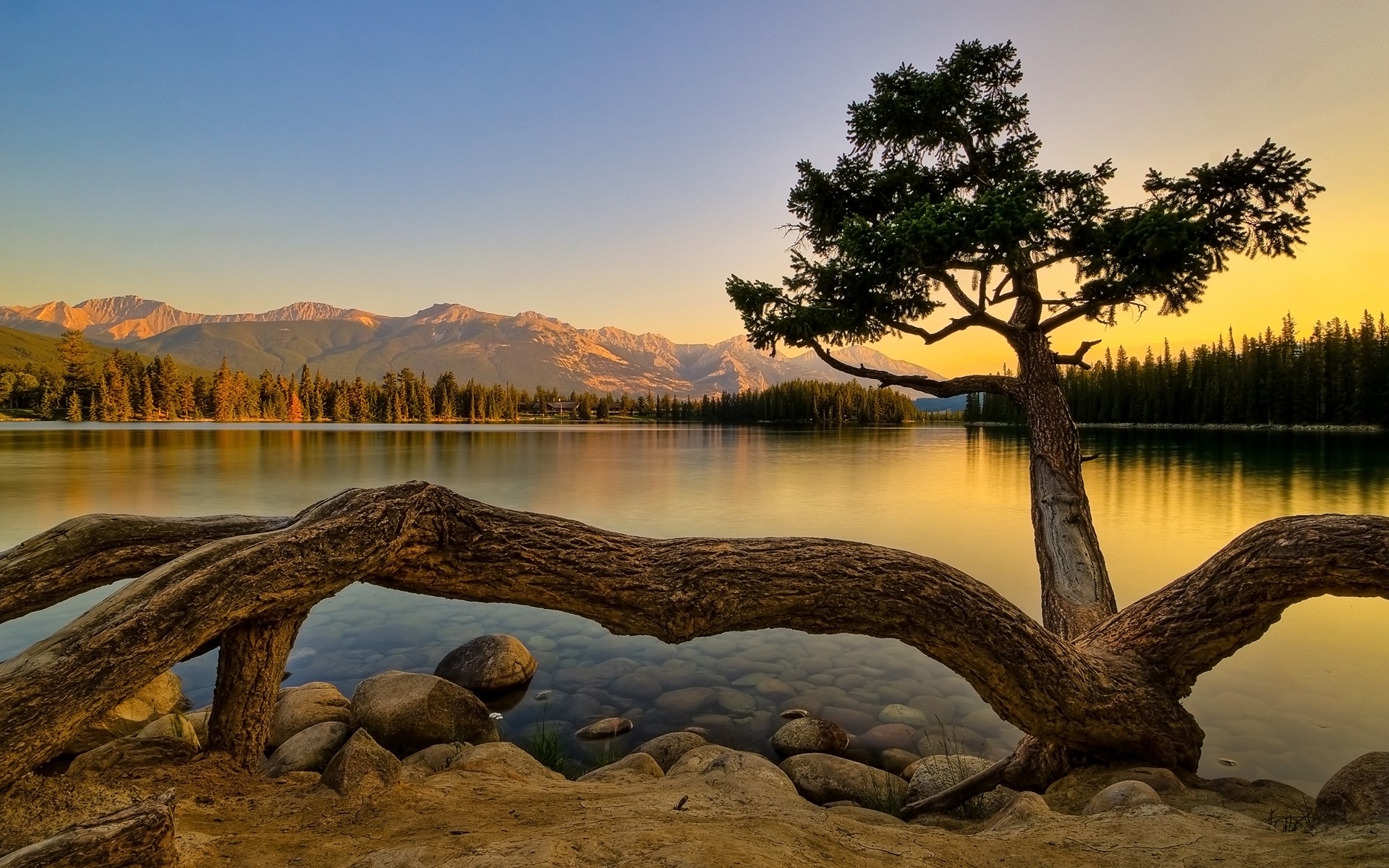 nature Wallpaper