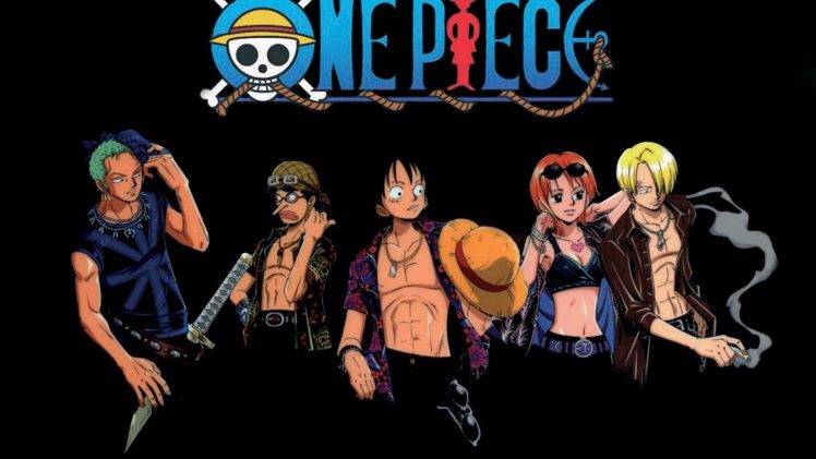 One Piece, Monkey D. Luffy, Roronoa Zoro, Usopp, Nami, Sanji HD Wallpaper Desktop Background