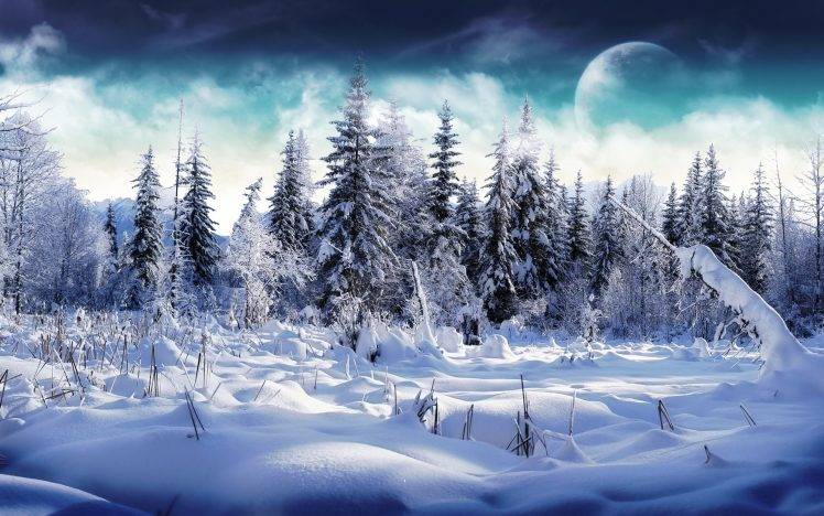 winter, Moon, Trees, Snow, Mountain, Nature HD Wallpaper Desktop Background