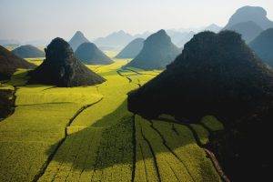Rapeseed, Hill, Landscape, Nature, China, Mist, Sunlight