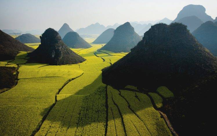 Rapeseed, Hill, Landscape, Nature, China, Mist, Sunlight HD Wallpaper Desktop Background