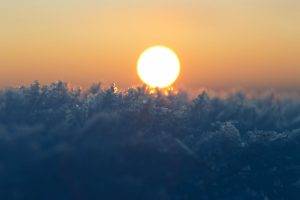 Sun, Bokeh, Macro, Frost, Winter, Nature