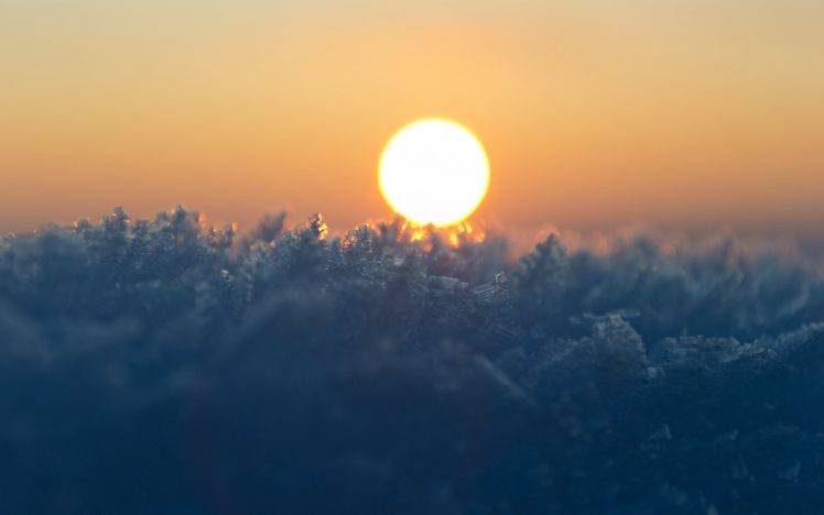 Sun, Bokeh, Macro, Frost, Winter, Nature HD Wallpaper Desktop Background