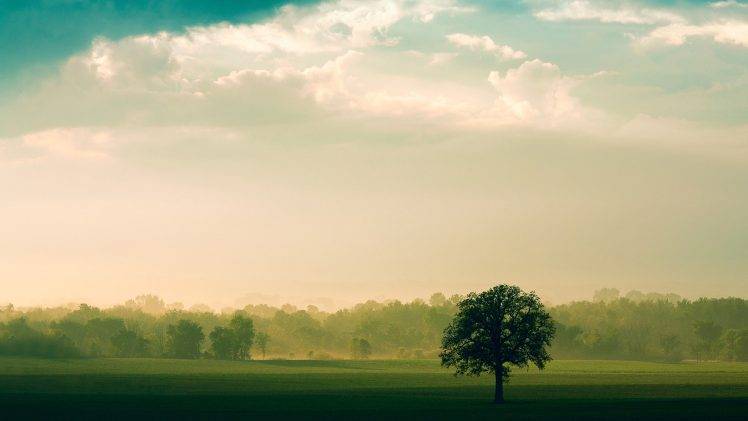 landscape, Nature, Trees, Clouds, Sky, Field, Mist, Sunlight HD Wallpaper Desktop Background