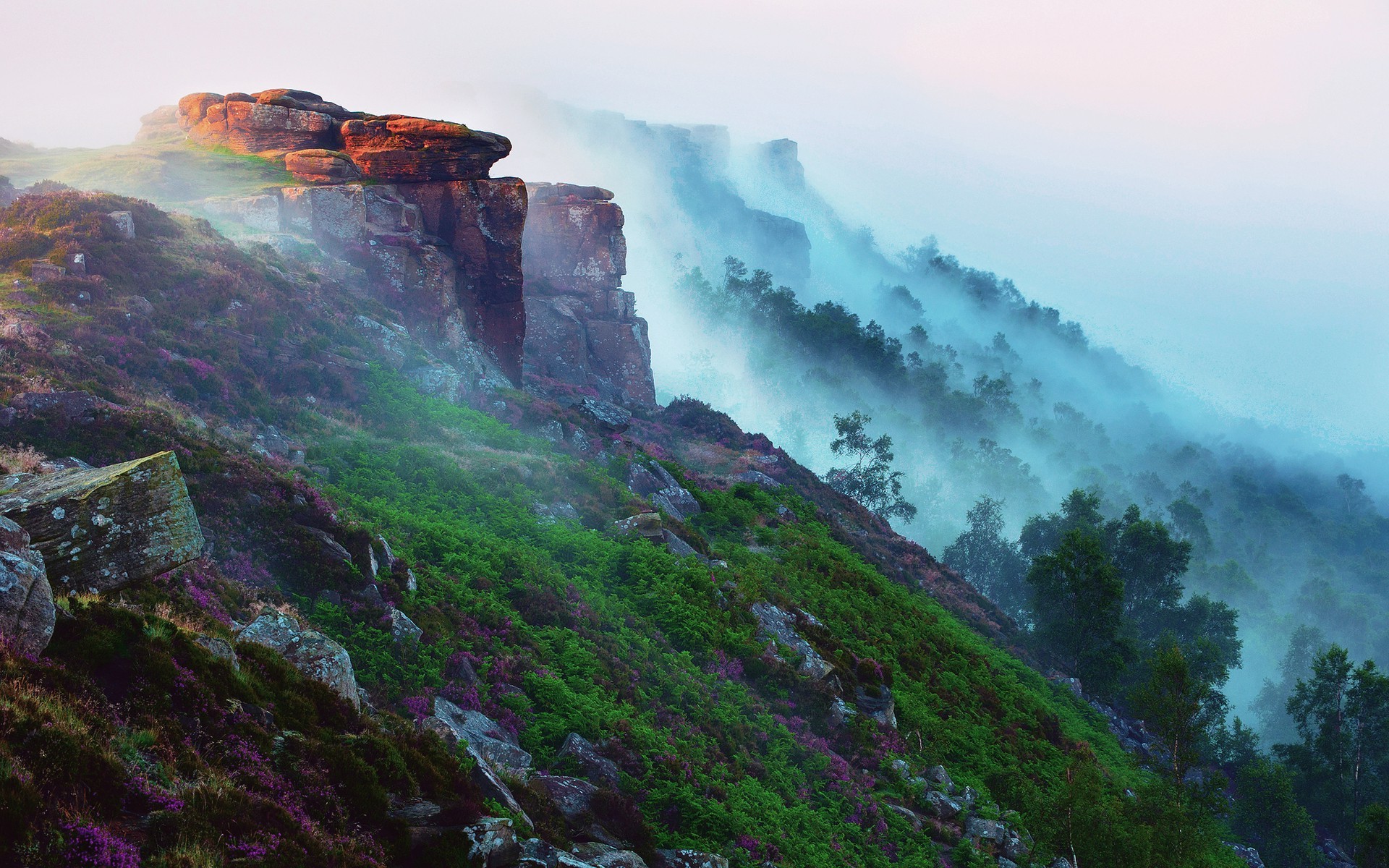 nature, Landscape, Mist Wallpaper