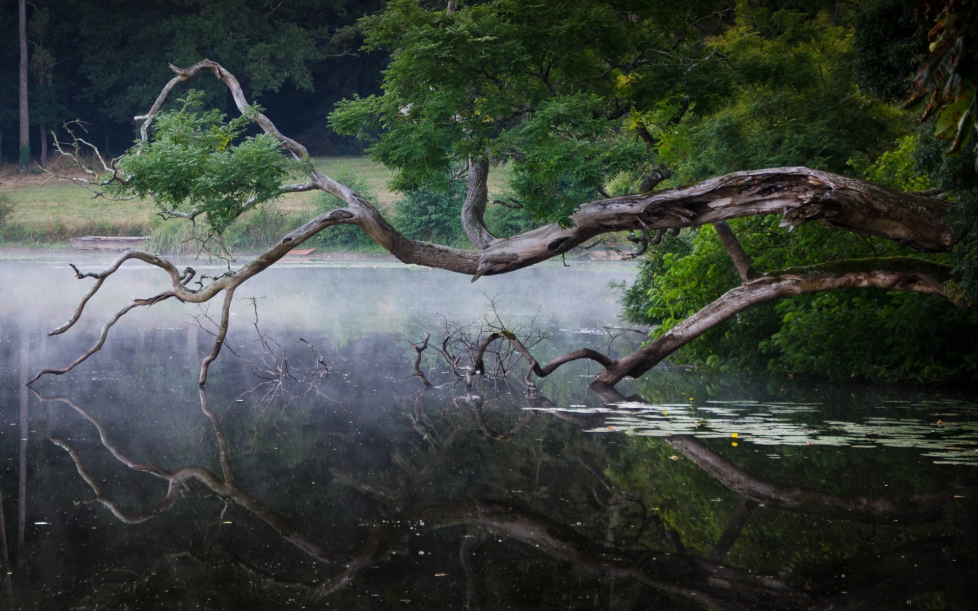 river Wallpaper