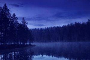 nature, Landscape, Blue, Evening, Reflection, Water, Forest, Trees, Pine Trees, Calm, Island