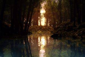 water, Reflection, Lake, Forest, Sunset, Trees